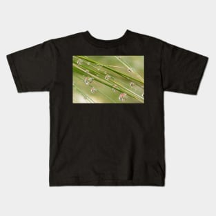 Water Drops on Grass Kids T-Shirt